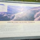 토르가(Torga)