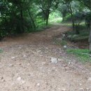 야로면사무소 이미지