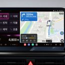 개in택시 이미지