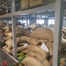 강릉초사거리 이미지