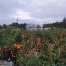 청남골프연습장 이미지