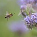 문산바로한의원 이미지