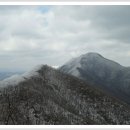 백화산의 아름다운 四月의 春雪 이미지