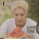 🐯세븐틴 호시 달글🐯 호랑이 동굴 85 | 한입보이 호시: 유독 빨래한 것만 같은 조그마한 권순영을 모아보자 (hype boy 아님 이미지