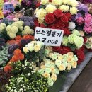 3. 파동