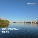 흑석산책로 | 연휴엔 홈트/ 반포 허밍웨이길 산책 피천득 산책로에서 뱀을 만나다 (동영상 있음)/ 비오는 날 남산...