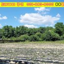 여주도깨비터공인중개사사무소 이미지