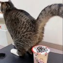 평화로운나날 이미지