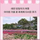 백일홍동산 | 아이랑 태안 당일치기 여행 2탄 가을꽃 박람회에 다녀온 솔직 후기