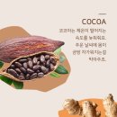 코코플러스 이미지