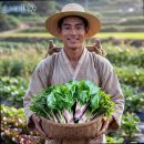 한정농장 | 엄나무순 엄두릅 요세비농장 강원도 산나물 봄나물 1kg 독활 땅두릅 눈개승마 개두릅 정품 한정판매