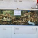 대성수산통영죽림점