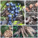 선택농장 이미지