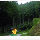 축령복음병원 이미지