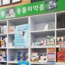 보건정문약국 이미지