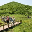 곰배령가든 이미지