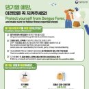 상록수