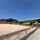 도촌초등학교 이미지