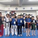 대진 윙 태권도 이미지