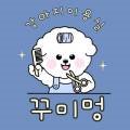 수성구애견미용꾸미멍