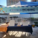 👼🏻 [플리마켓] 천사마켓 다녀온 후기, 11월 2 - 3일