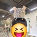 와우가주 | 양산 실내 동물원 아이들과 동물교감 와우쥬 방문 후기