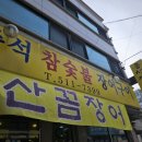 마석풍천장어