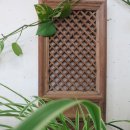 걸구쟁이네 이미지