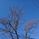 신촌경로당 앞 이미지