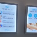 사하풋 이미지