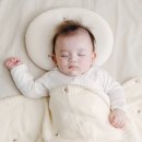 골든엔젤 이미지