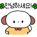 욜로클린