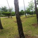 백학동 공원 네이버블로그