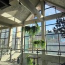 금산중앙식자재마트 | 진주 금산 대형 베이커리 카페 하우스 오브 금산 크리스마스 케이크 빵 다양