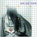 생명나무