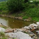 버섯구지마을 이미지