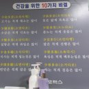 대한스포렉스 이미지