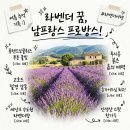 남*훈 | 남프랑스 프로방스투어 퐁텐드보쿨뤼즈 고흐드 루시옹 차량 가이드 투어 후기