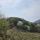 배스킨라빈스창원무동
