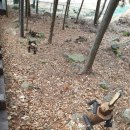 지리산정원 유아숲체험원 이미지
