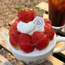 소서 | 성주 하우스 소서 크리스마스 카페 후기