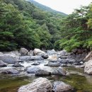 동산동-08 이미지