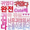 빨간건설