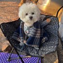 후에이트디스케이크 | 토리 왕자님 9살 생일파티