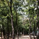 용허리근린공원 네이버블로그