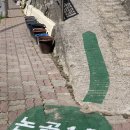 대우칼국수 이미지