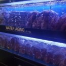 신의한소 이미지