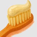 베스트덴탈치과기공소 | 벨레다 잇몸 치약 효능 후기 구취제거 효과 소금치약