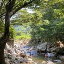 천운농장 이미지