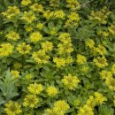 기린초등학교 이미지